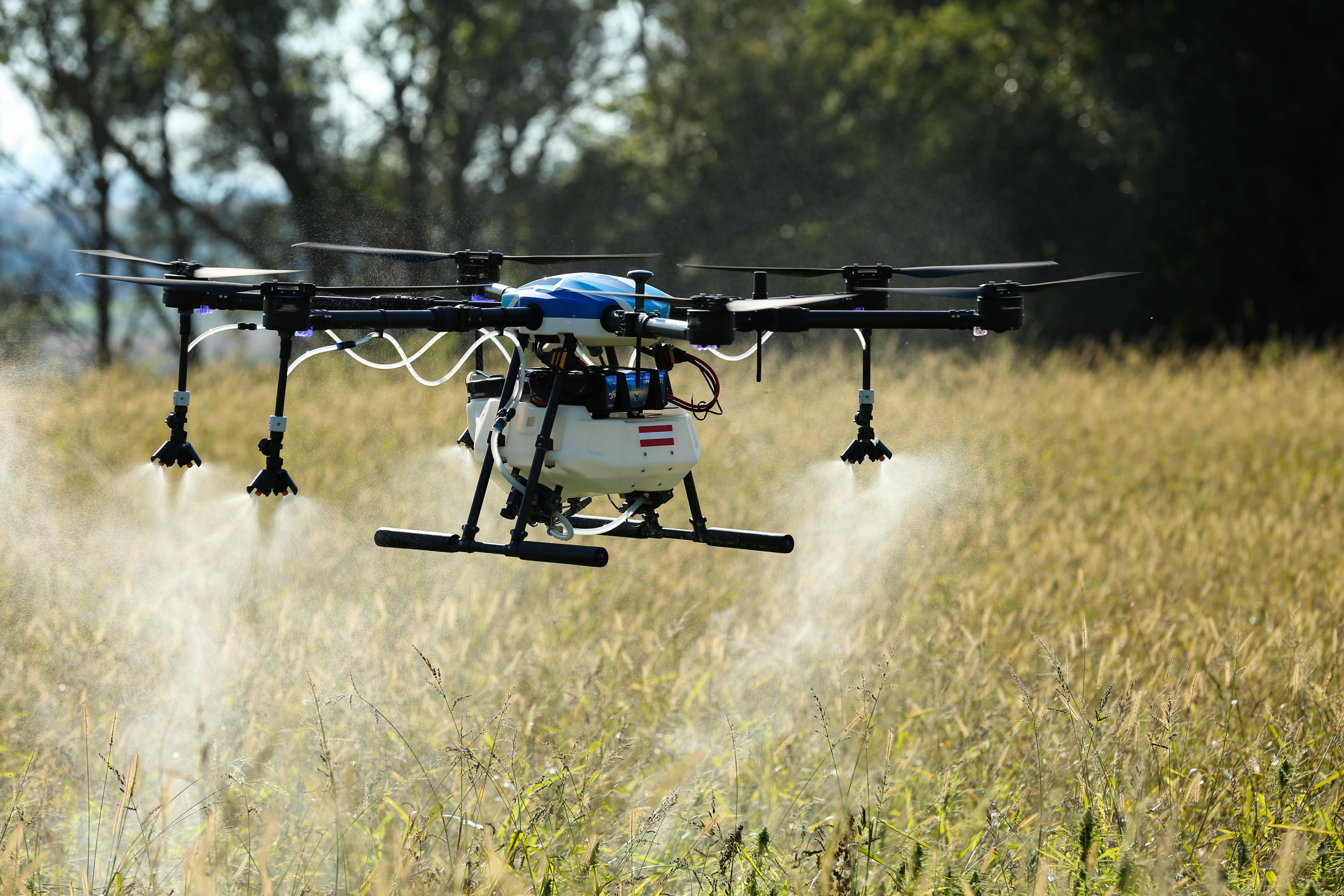 Drohne Landwirtschaft Hanffeld