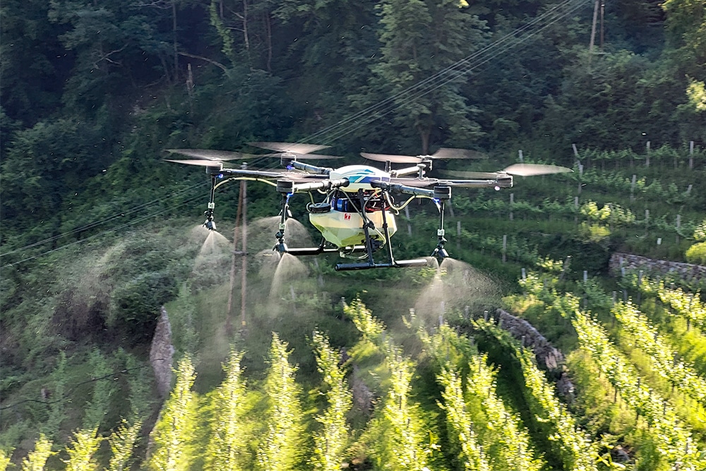 Pflanzenschutz mit Sprühdrone