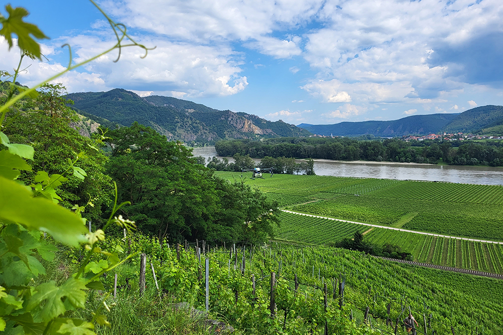 Weinbau mit Agrardrohnen