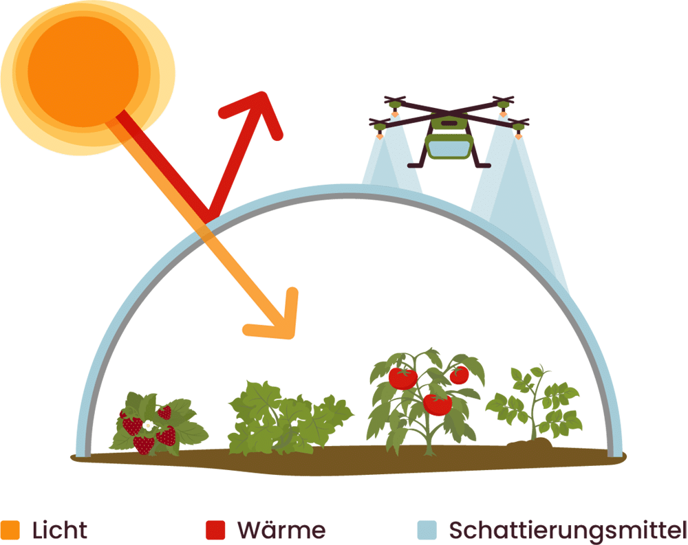 Gewächshausbeschattung NEU